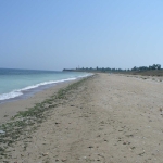 Парцел в с. Дуранкулак, Област Добрич - 20000 кв.м за 58 €/кв.м - Снимка #1