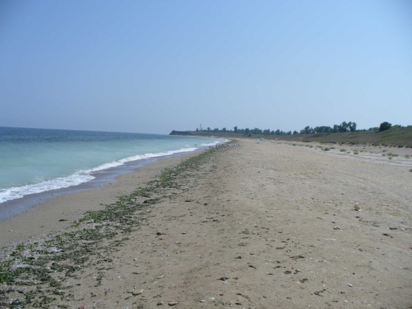 Парцел в с. Дуранкулак, Област Добрич - 20000 кв.м за 58 €/кв.м - Снимка #1