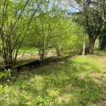 Парцел в Копривщица - 5551 кв.м за 55 €/кв.м - Снимка #1