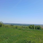 Парцел в с. Жеглица, Област Видин - 1500 кв.м за 5 €/кв.м - Снимка #1