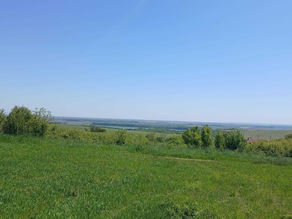 Парцел в с. Жеглица, Област Видин - 1500 кв.м за 5 €/кв.м - Снимка #1