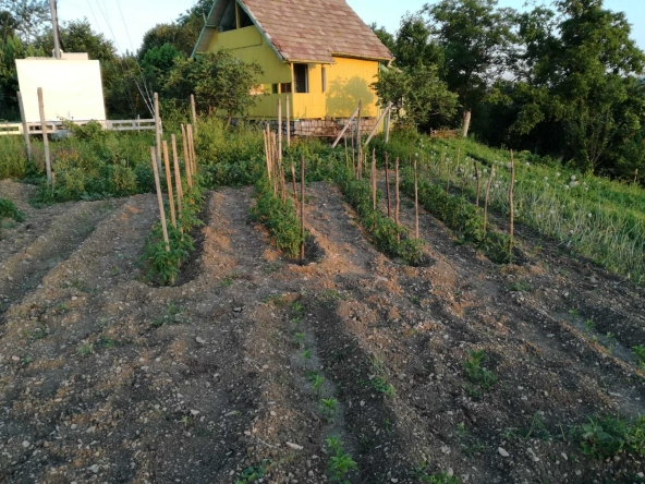 Къща в Търговище, Вилна зона - 40 кв.м за 536 €/кв.м - Снимка #1