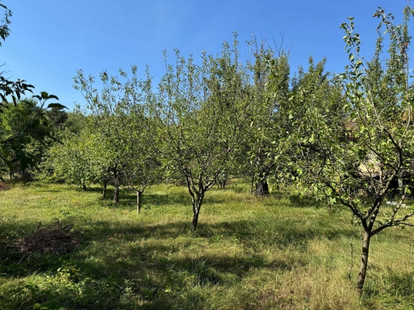 Парцел в с. Жиленци, Област Кюстендил - 6850 кв.м за 17 €/кв.м - Снимка #1