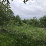 Парцел в с. Аврен, Област Варна - 1500 кв.м за 16 €/кв.м - Снимка #1