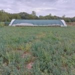 Парцел в с. Стража, Област Търговище - 4000 кв.м за 9 €/кв.м - Снимка #1