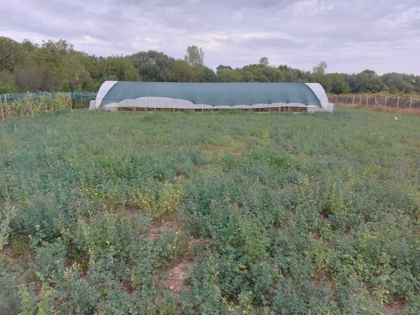 Парцел в с. Стража, Област Търговище - 4000 кв.м за 9 €/кв.м - Снимка #1