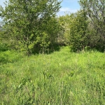 Парцел в Сопот - 1800 кв.м за 17 €/кв.м - Снимка #1