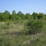 Парцел в Монтана, в.з. Юг - 3000 кв.м за 17 €/кв.м - Снимка #1