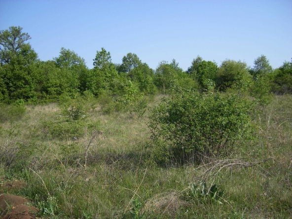 Парцел в Монтана, в.з. Юг - 3000 кв.м за 17 €/кв.м - Снимка #1