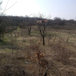 Парцел в Монтана, Парта 1 - 3720 кв.м за 6 €/кв.м - Снимка #1