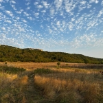 Парцел в с. Разделна, Област Варна - 560 кв.м за 25 €/кв.м - Снимка #1