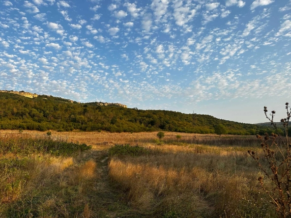 Парцел в с. Разделна, Област Варна - 560 кв.м за 25 €/кв.м - Снимка #1