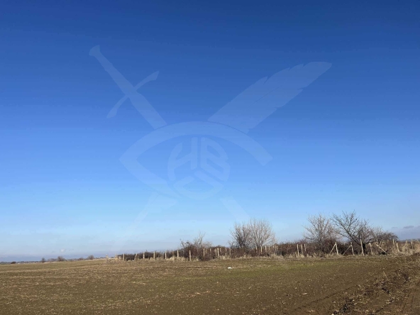 Земеделски имот в Асеновград -  кв.м за 12667 €/дка - Снимка #1