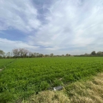 Парцел в с. Царацово, Област Пловдив - 3340 кв.м за 59 €/кв.м - Снимка #1