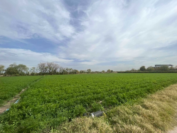 Парцел в с. Царацово, Област Пловдив - 3340 кв.м за 59 €/кв.м - Снимка #1