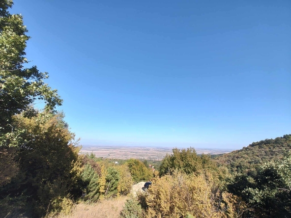 Парцел в с. Руен, Област Пловдив - 3362 кв.м за 28 €/кв.м - Снимка #1