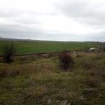 Земеделски имот в Варна, Левски -  кв.м за 1275 €/дка - Снимка #1