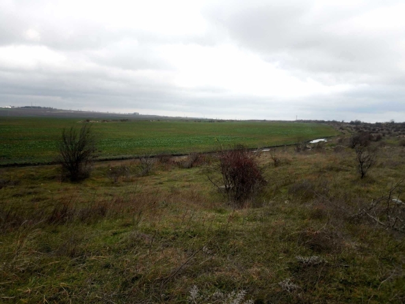 Земеделски имот в Варна, Левски -  кв.м за 1275 €/дка - Снимка #1