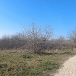 Парцел в Девня - 1426 кв.м за 13 €/кв.м - Снимка #1