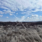 Парцел в Асеновград - 667 кв.м за 58 €/кв.м - Снимка #1