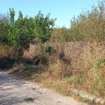 Парцел в с. Книжовник, Област Хасково - 1020 кв.м за 23 €/кв.м - Снимка #1