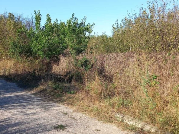 Парцел в с. Книжовник, Област Хасково - 1020 кв.м за 23 €/кв.м - Снимка #1