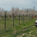 Парцел в с. Енина, Област Стара Загора - 478 кв.м за 91 €/кв.м - Снимка #1