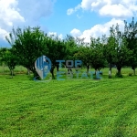 Парцел в с. Мерданя, Област Велико Търново - 1360 кв.м за 11 €/кв.м - Снимка #1