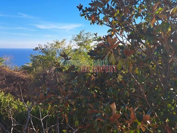 Къща в Варна, м-т Прибой - 176 кв.м за 1748 €/кв.м - Снимка #1