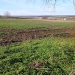 Парцел в Тервел - 809 кв.м за 10 €/кв.м - Снимка #1