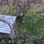 Етаж от къща в Асеновград - 118 кв.м за 806 €/кв.м - Снимка #1