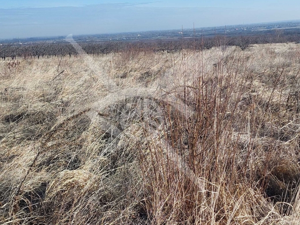 Парцел в с. Брестник, Област Пловдив - 3149 кв.м за 27 €/кв.м - Снимка #1