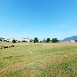 Земеделски имот в Велинград -  кв.м за 6069 €/дка - Снимка #1