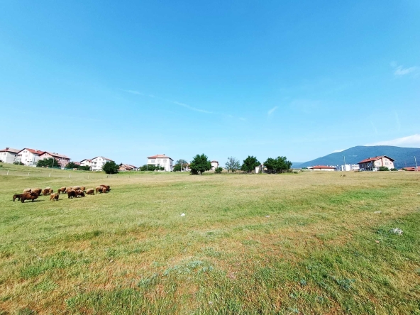 Земеделски имот в Велинград -  кв.м за 6069 €/дка - Снимка #1