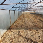 Земеделски имот в с. Хаджиево, Област Пазарджик -  кв.м за 9563 €/дка - Снимка #1