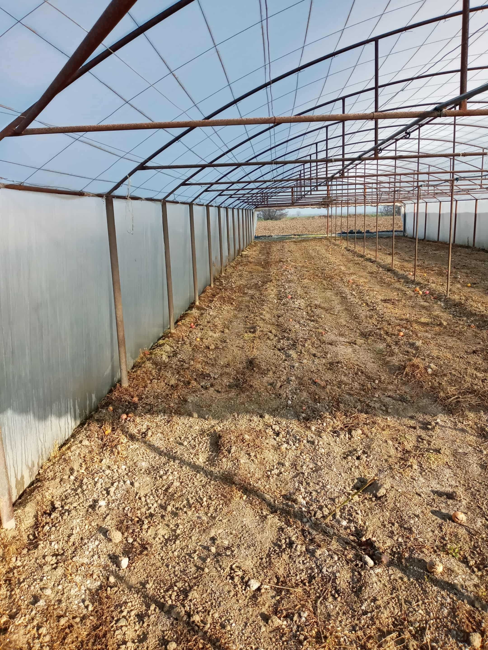 Земеделски имот в с. Хаджиево, Област Пазарджик -  кв.м за 9563 €/дка - Снимка #1