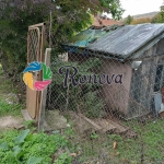 Парцел в с. Долище, Област Варна - 1000 кв.м за 83 €/кв.м - Снимка #1