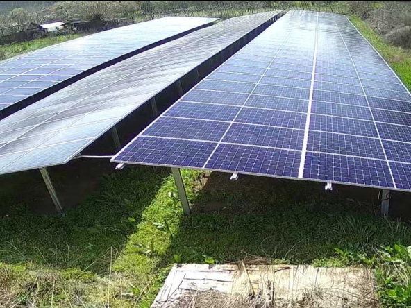 Парцел в Враца, Дъбника - 2088 кв.м за 48 €/кв.м - Снимка #1