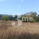 Парцел в с. Бистрица, Област София-град - 2501 кв.м за 20 €/кв.м - Снимка #1