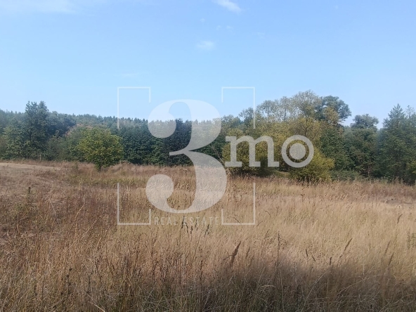 Парцел в с. Бистрица, Област София-град - 2501 кв.м за 20 €/кв.м - Снимка #1