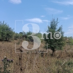 Парцел в с. Бистрица, Област София-град - 3000 кв.м за 35 €/кв.м - Снимка #1