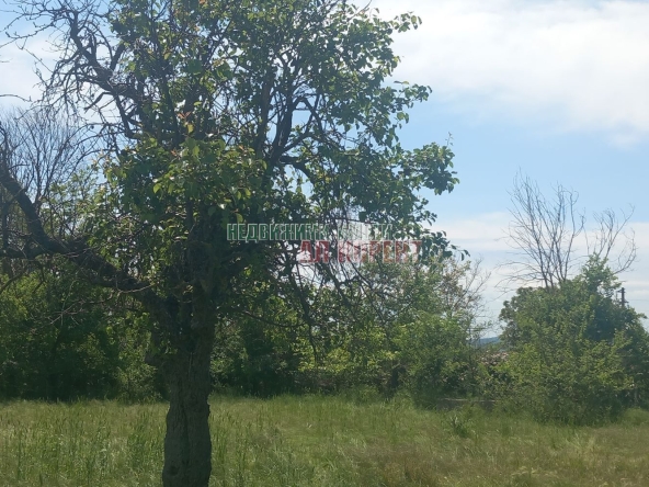 Парцел в с. Кривня, Област Варна - 2620 кв.м за 10 €/кв.м - Снимка #1