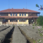 Къща в с. Царичино, Област Добрич - 270 кв.м за 626 €/кв.м - Снимка #1