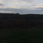 Парцел в Елин Пелин - 1200 кв.м за 32 €/кв.м - Снимка #1