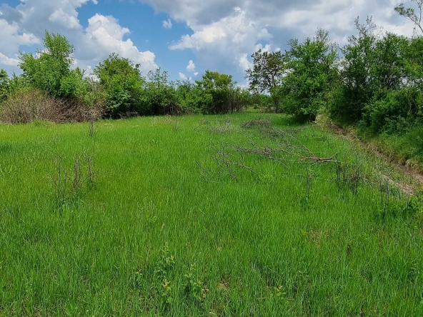 Парцел в Разград, Промишлена зона - Запад - 9003 кв.м за 6 €/кв.м - Снимка #1