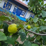 Къща в Силистра, Римска гробница - 90 кв.м за 200 €/кв.м - Снимка #1