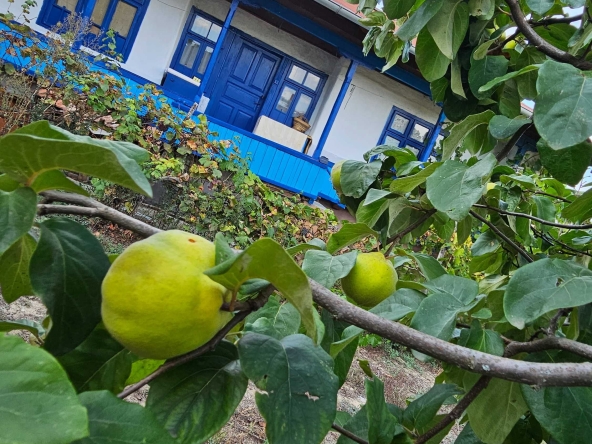 Къща в Силистра, Римска гробница - 90 кв.м за 200 €/кв.м - Снимка #1