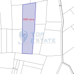 Парцел в с. Беляковец, Област Велико Търново - 3683 кв.м за 8 €/кв.м - Снимка #1