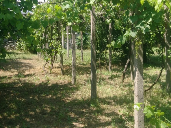 Къща в Хасково, Любен Каравелов - 70 кв.м за 2000 €/кв.м - Снимка #1