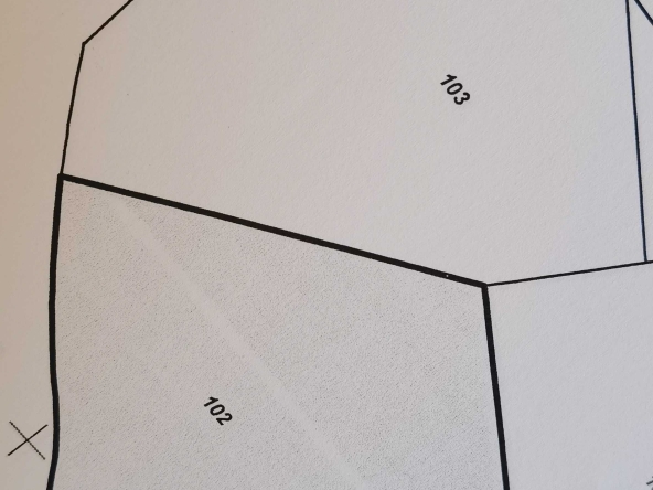 Парцел в с. Звездица, Област Варна - 500 кв.м за 77 €/кв.м - Снимка #1